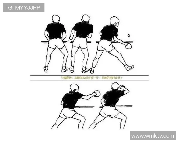 乒乓球新手必看：掌握节奏与技巧的全面入门指南