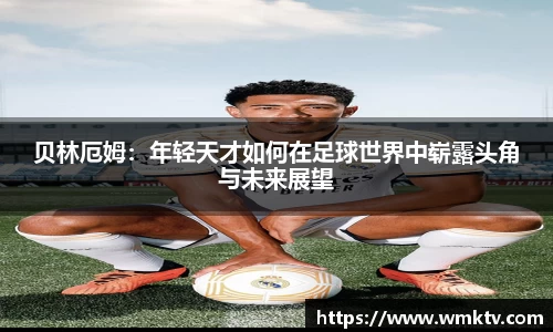 星欧娱乐官方网站