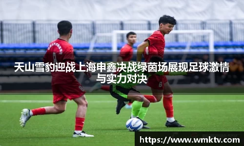 天山雪豹迎战上海申鑫决战绿茵场展现足球激情与实力对决